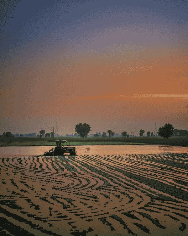 A farmer holding rich soil in their hands, 600x750