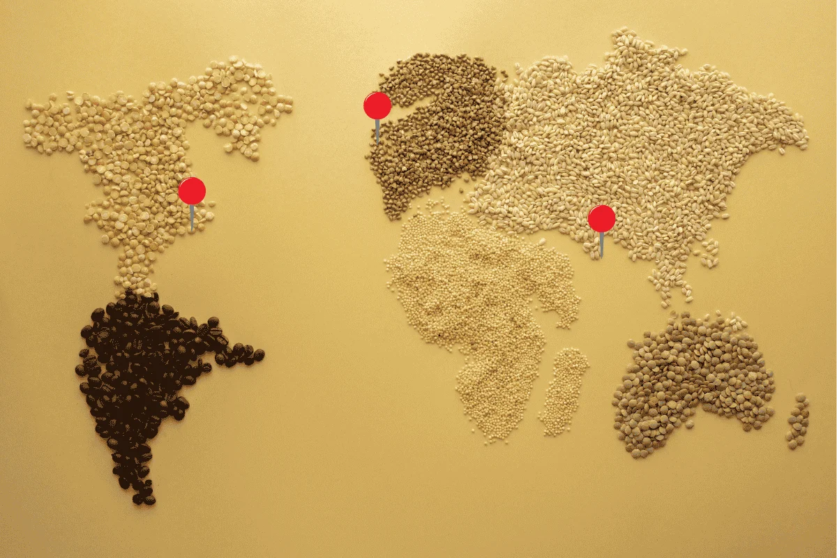 World map showing global connections