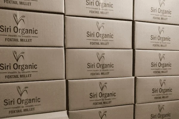 Secured in Carton Boxes